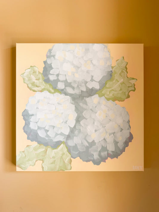 Hydrangeas
